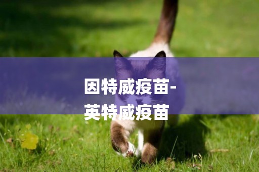 因特威疫苗-
英特威疫苗