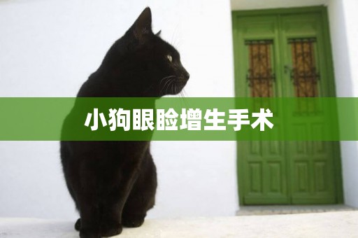 小狗眼瞼增生手術