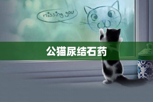 公貓尿結石藥
