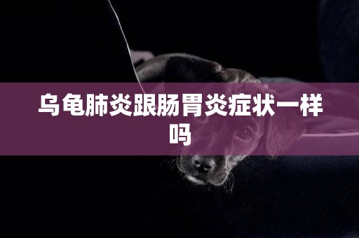 烏龜肺炎跟腸胃炎癥狀一樣嗎