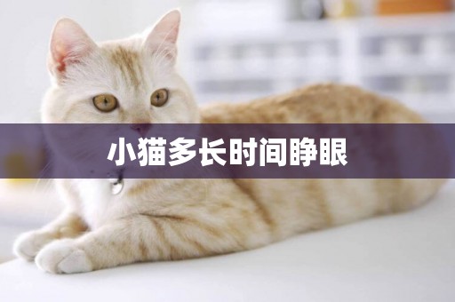 小貓多長時間睜眼