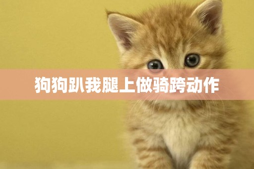狗狗趴我腿上做騎跨動作