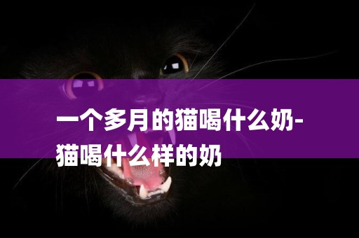 一個多月的貓喝什么奶-
貓喝什么樣的奶