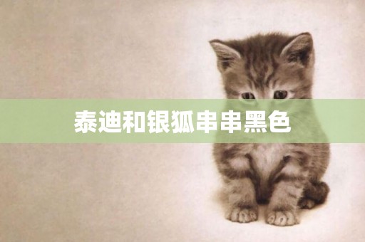 泰迪和銀狐串串黑色