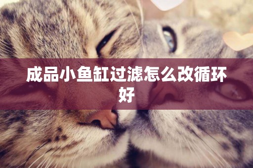 成品小魚缸過濾怎么改循環好