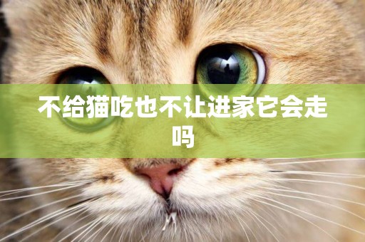 不給貓吃也不讓進家它會走嗎