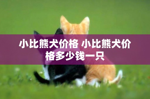 小比熊犬價格 小比熊犬價格多少錢一只