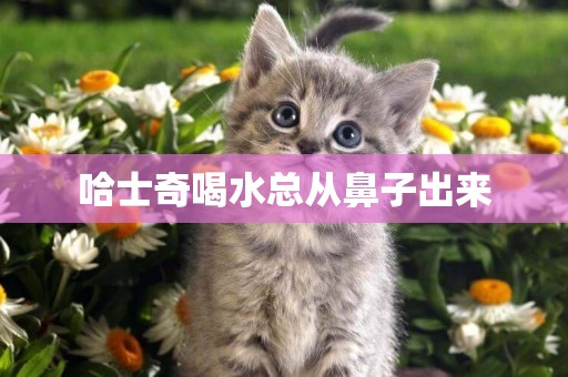 哈士奇喝水總從鼻子出來