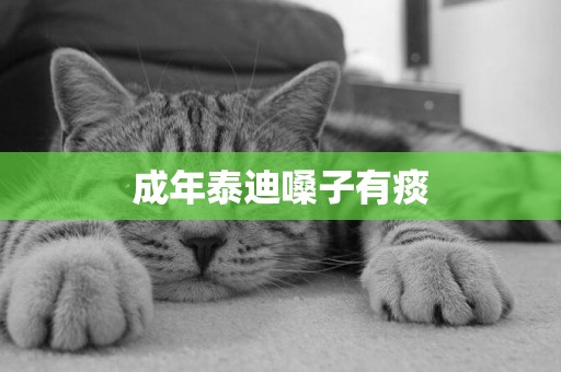 成年泰迪嗓子有痰