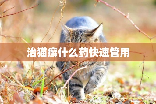 治貓癬什么藥快速管用
