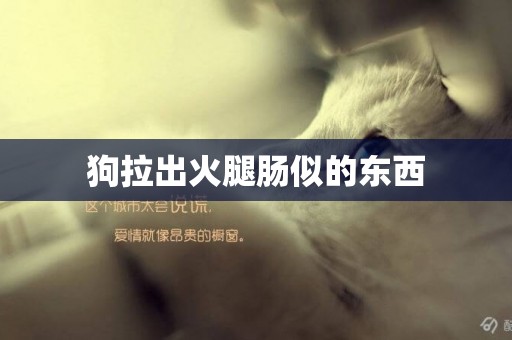 狗拉出火腿腸似的東西