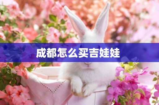 成都怎么買吉娃娃 