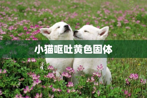 小貓嘔吐黃色固體