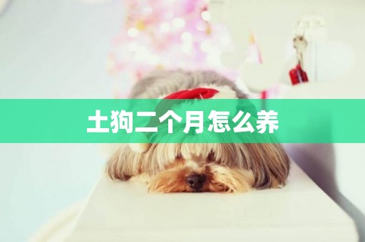 土狗二個月怎么養