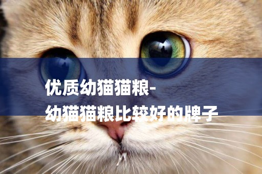 優質幼貓貓糧-
幼貓貓糧比較好的牌子