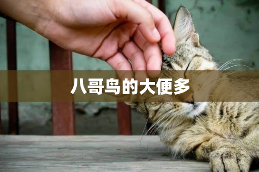 八哥鳥的大便多