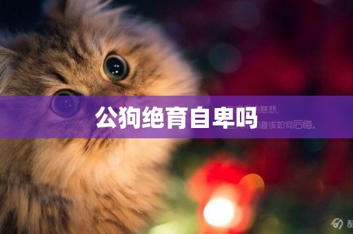公狗絕育自卑嗎