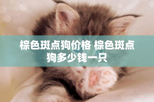 棕色斑點狗價格 棕色斑點狗多少錢一只