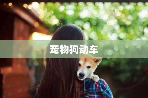 寵物狗動車
