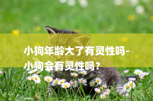 小狗年齡大了有靈性嗎-
小狗會有靈性嗎？