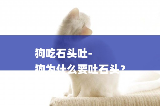 狗吃石頭吐-
狗為什么要吐石頭？