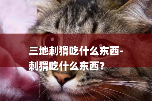 三地刺猬吃什么東西-
刺猬吃什么東西？