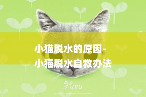 小貓脫水的原因-
小貓脫水自救辦法