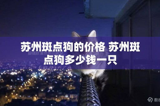 蘇州斑點狗的價格 蘇州斑點狗多少錢一只