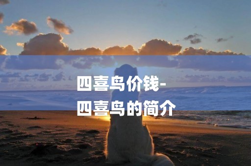 四喜鳥價錢-
四喜鳥的簡介