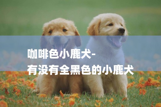 咖啡色小鹿犬-
有沒有全黑色的小鹿犬