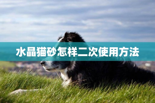 水晶貓砂怎樣二次使用方法