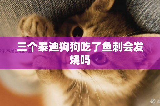 三個泰迪狗狗吃了魚刺會發燒嗎