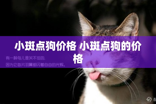 小斑點狗價格 小斑點狗的價格