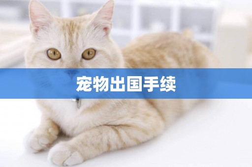 寵物出國手續