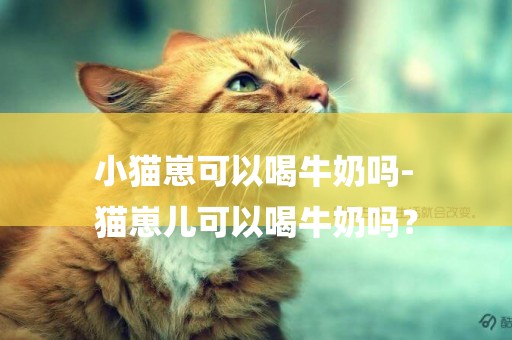 小貓崽可以喝牛奶嗎-
貓崽兒可以喝牛奶嗎？