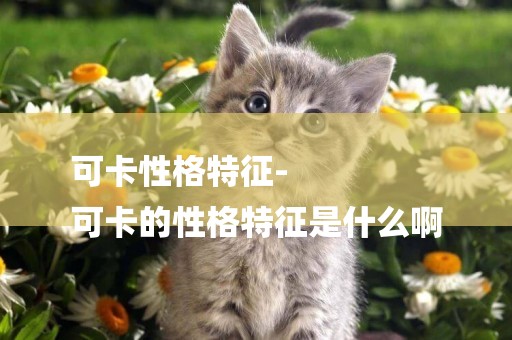 可卡性格特征-
可卡的性格特征是什么啊