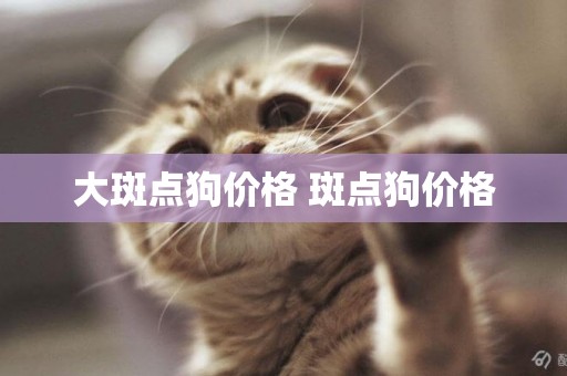 大斑點狗價格 斑點狗價格