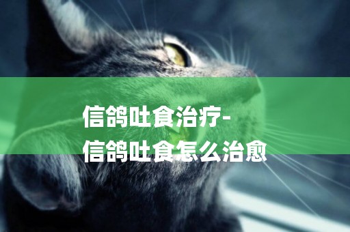 信鴿吐食治療-
信鴿吐食怎么治愈