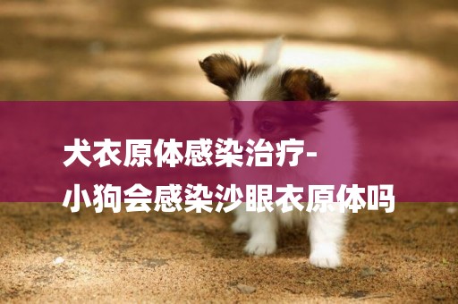 犬衣原體感染治療-
小狗會感染沙眼衣原體嗎