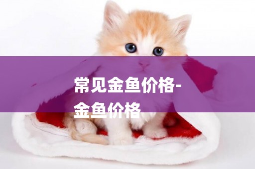 常見金魚價格-
金魚價格