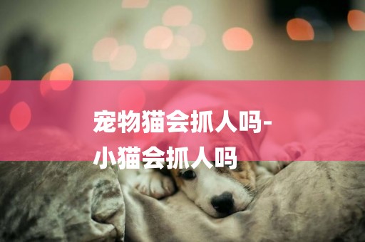 寵物貓會抓人嗎-
小貓會抓人嗎