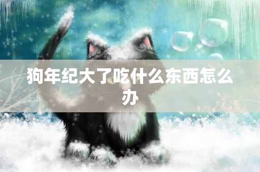 狗年紀大了吃什么東西怎么辦