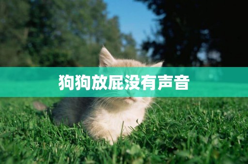 狗狗放屁沒有聲音