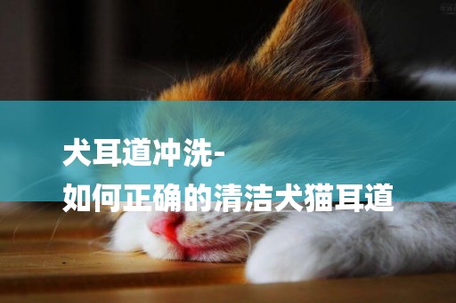 犬耳道沖洗-
如何正確的清潔犬貓耳道