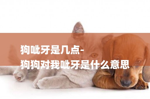 狗呲牙是幾點-
狗狗對我呲牙是什么意思