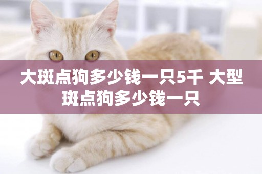 大斑點狗多少錢一只5千 大型斑點狗多少錢一只