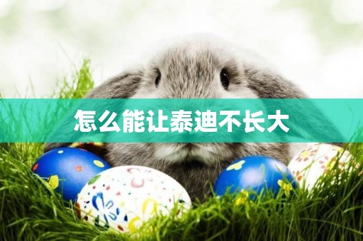 怎么能讓泰迪不長大