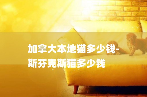 加拿大本地貓多少錢-
斯芬克斯貓多少錢