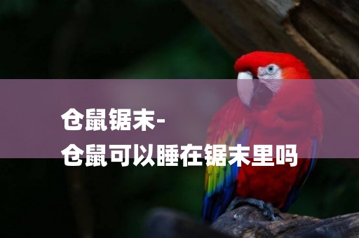倉鼠鋸末-
倉鼠可以睡在鋸末里嗎
