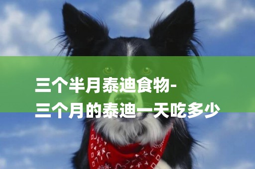 三個半月泰迪食物-
三個月的泰迪一天吃多少